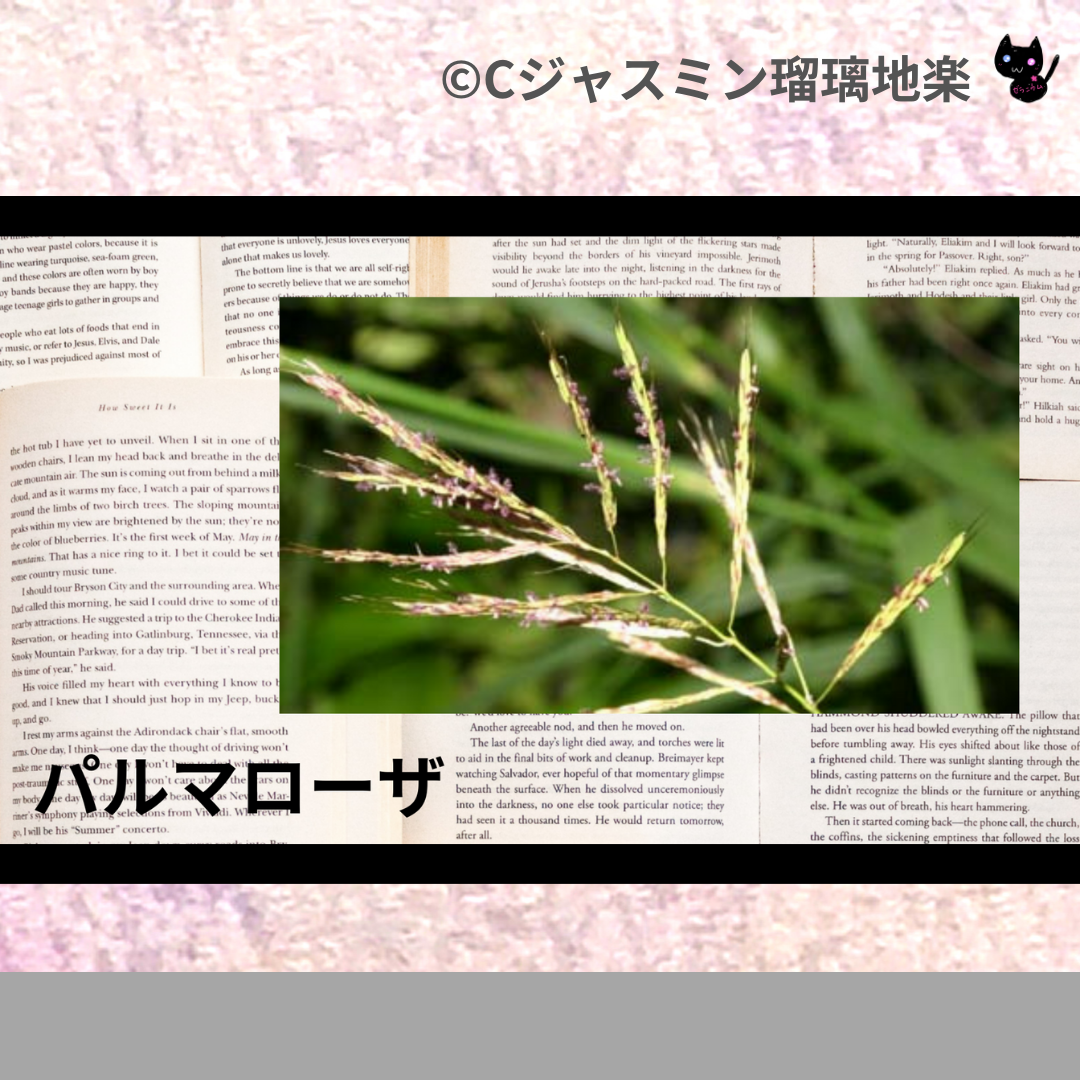 パルマローザ(精油)｜ローズの偽和剤、美肌、スキンケア、出産｜禁忌あり