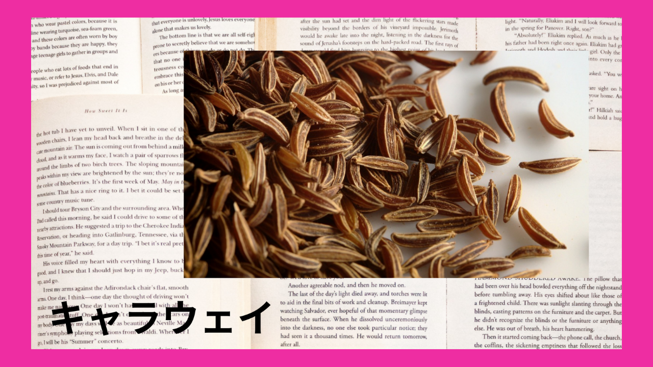 キャラウェイ(精油)(ハーブ)｜ケトン(d₋カルボン)、モノテルペン炭化水素類(リモネン)｜禁忌あり