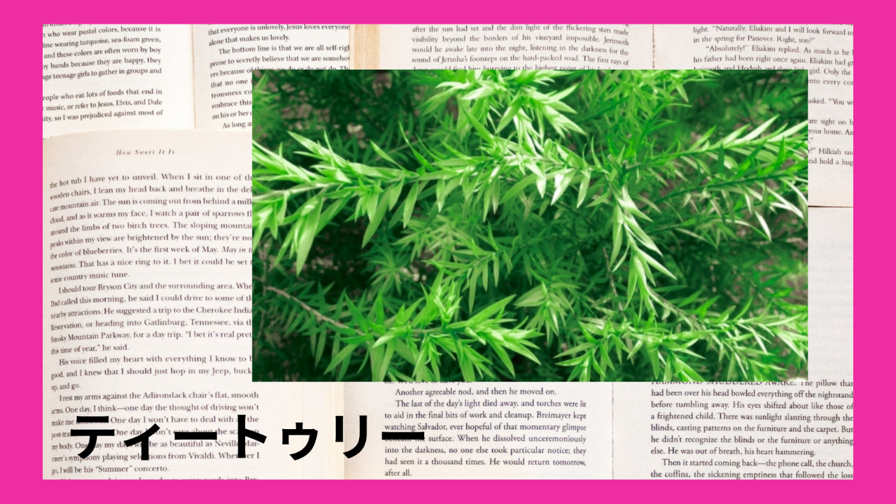 ティートゥリー(精油)｜モノテルペンアルコール類(テルピネン‐4‐ol)、モノテルペン炭化水素類(γ‐テルピネン)｜禁忌あり