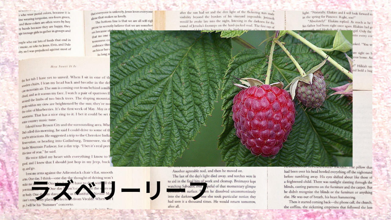 ラズベリーリーフ(ハーブ)｜フラガリン、タンニン｜禁忌なし