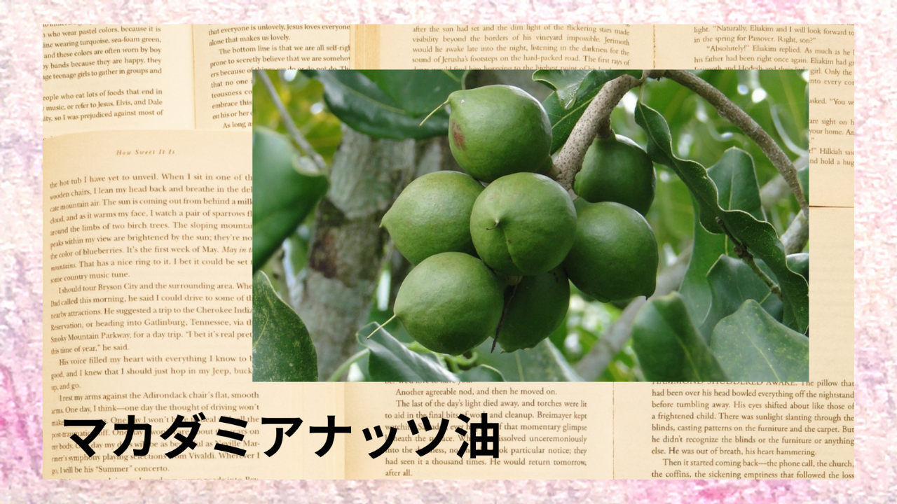 マカダミアナッツ油(基材)｜パルミトレイン酸｜禁忌なし