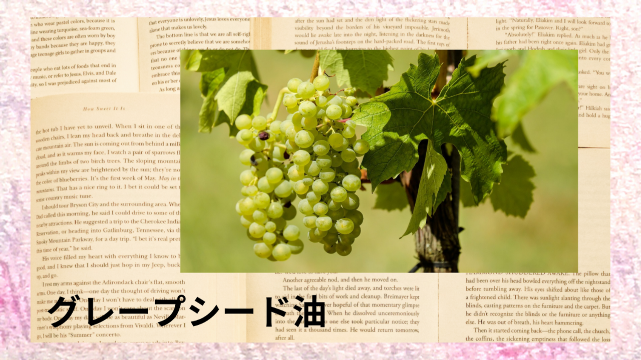 グレープシード油(基材)｜リノール酸、パルミチン酸、ステアリン酸｜禁忌なし