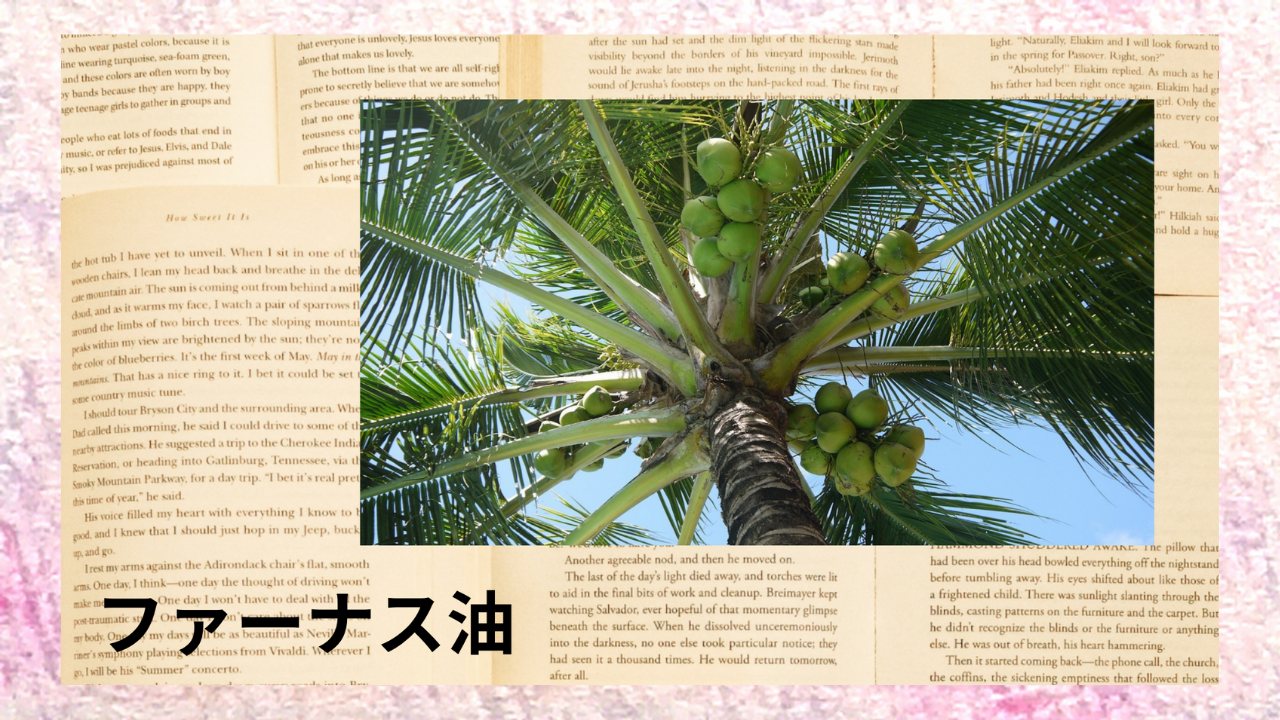 ファーナス油(基材)｜カプリル酸、カプリン酸｜禁忌なし
